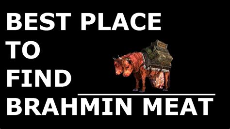 fallout 4 brahmin meat locations.